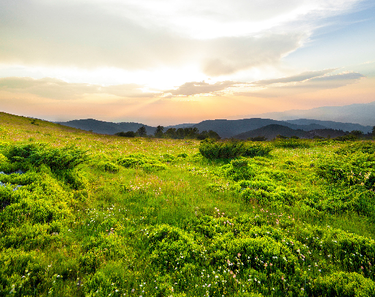 Exploring the Beauty of the Waterberg: A Nature Lover's Paradise