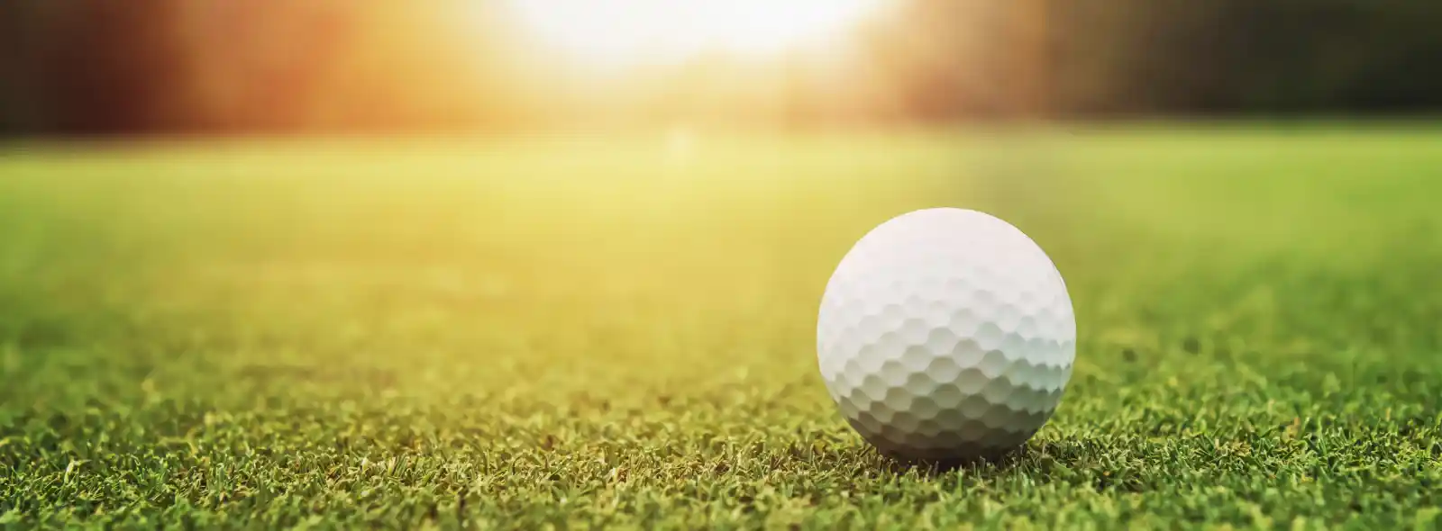 Golfing in Modimolle for Father's Day