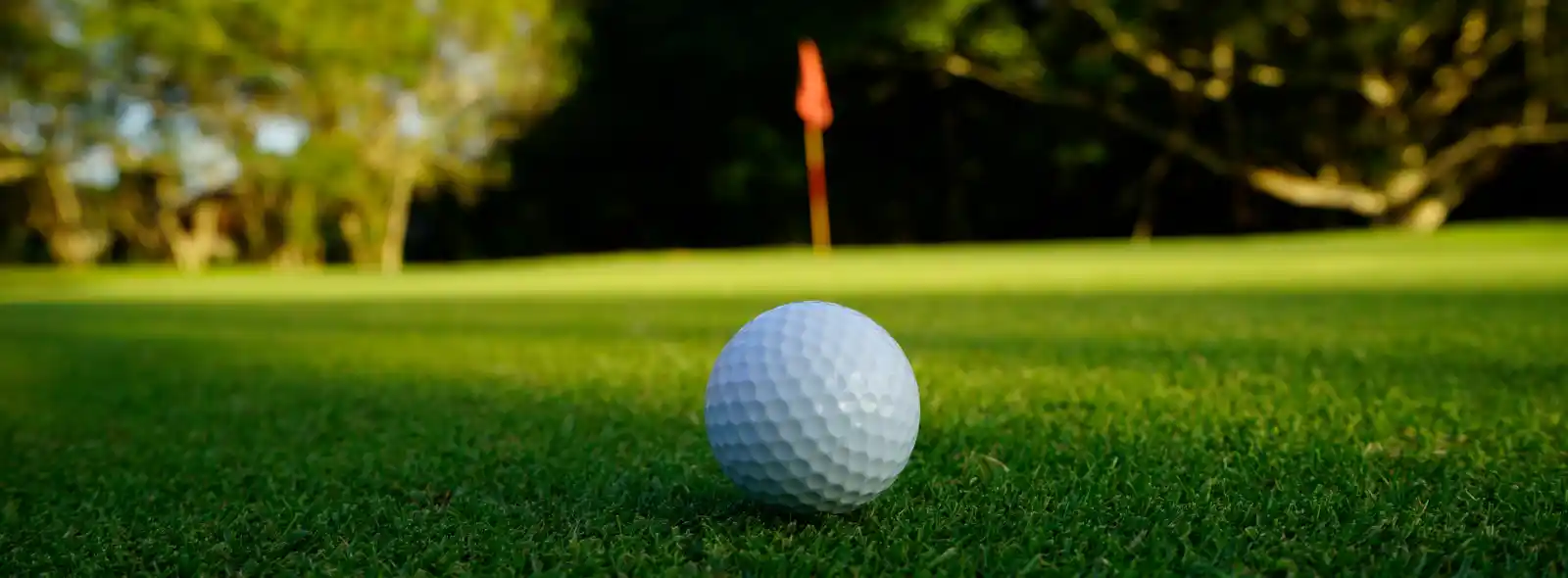 Golf course at Koro Creek Golf course at Koro Creek