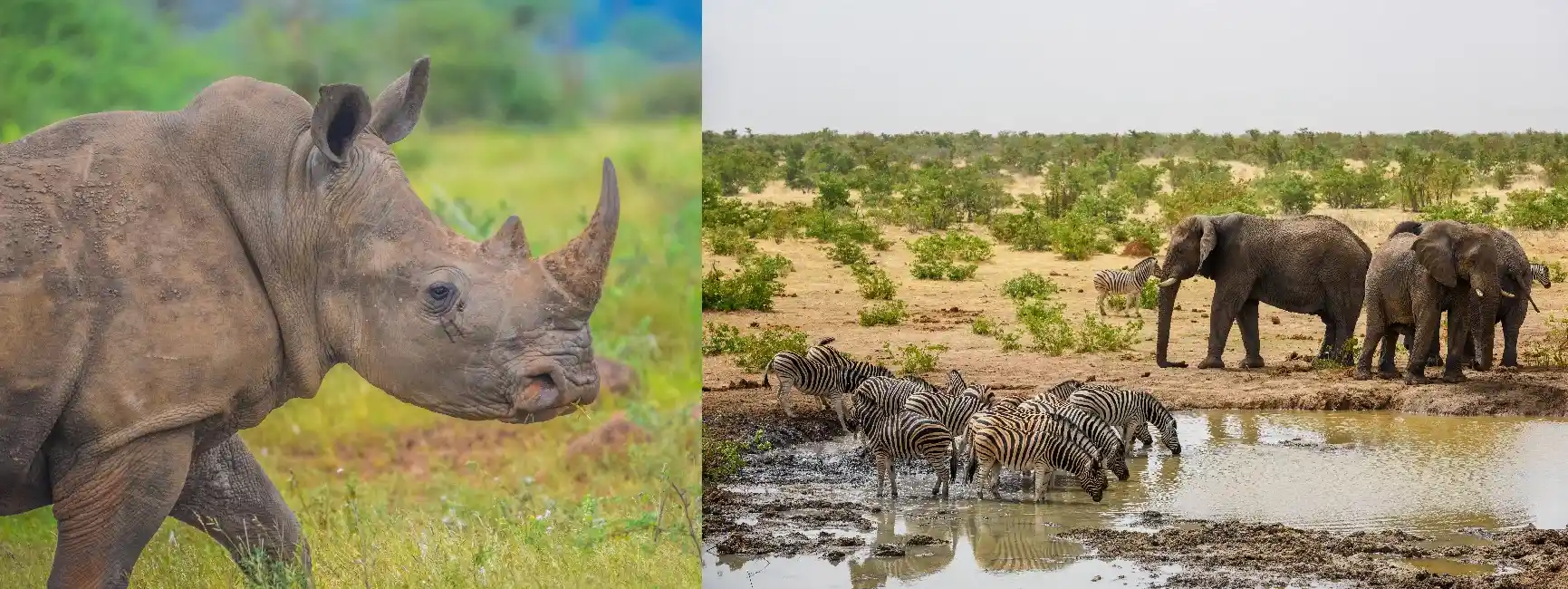 Top 10 Must-Do Activities in Modimolle and the Waterberg Region