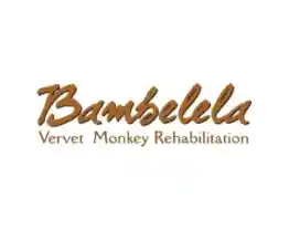 Things to do in Modimolle - Bambelela Vervet Monkey Rehabilitation