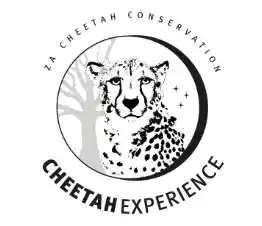 Things to do in Modimolle - Cheetah Experience