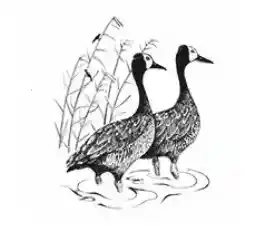 Things to do in Modimolle - Waterberg Zipline Adventures