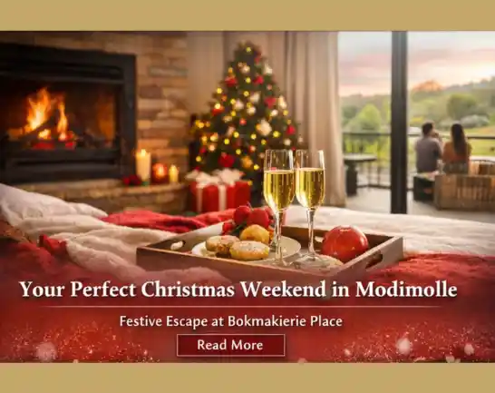 Your Perfect Christmas Weekend in Modimolle Your Perfect Christmas Weekend in Modimolle
