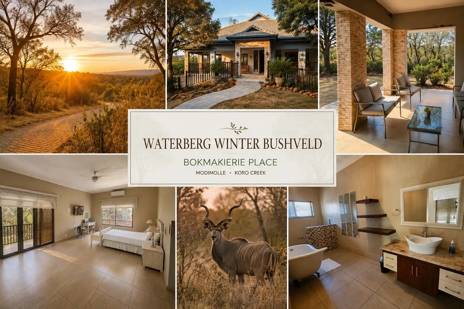 Winter bushveld getaway in the Waterberg near Bokmakierie Place Modimolle