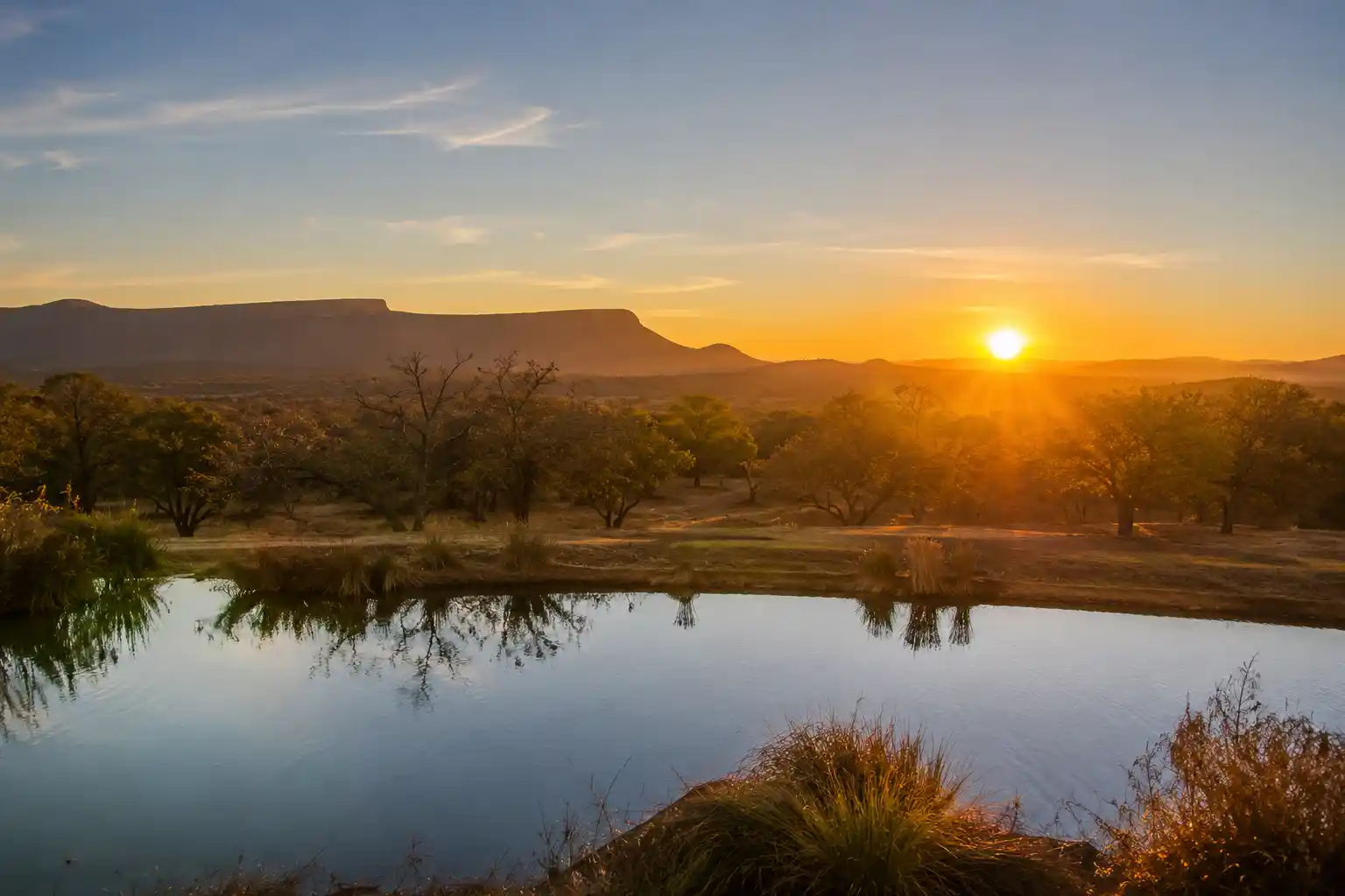Winter sunrise over the Waterberg bushveld near Koro Creek Modimolle